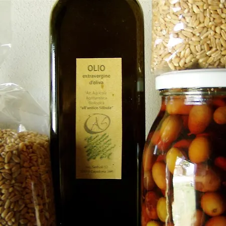 Κατάλυμα σε φάρμα All'antico Silbule *