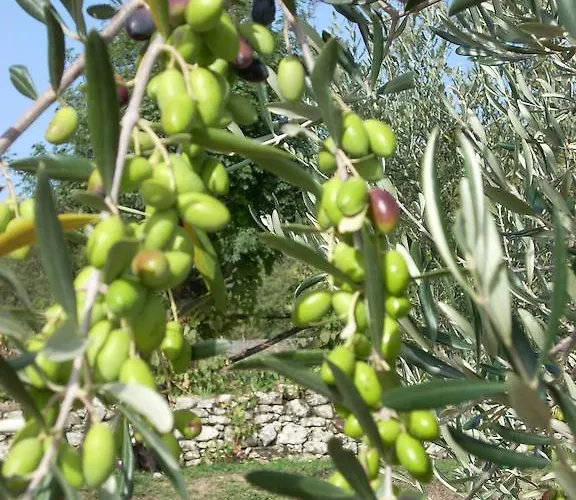 All'antico Silbule