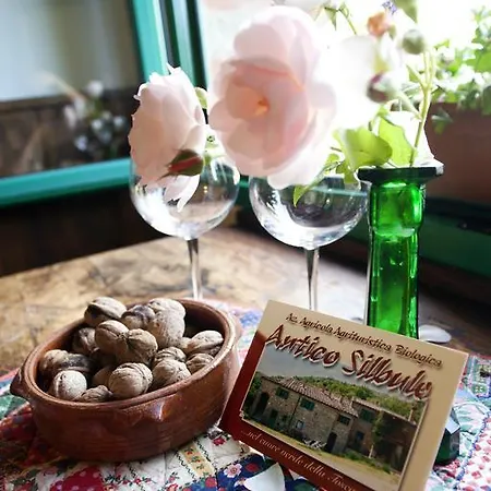 Farm stay All'antico Silbule *