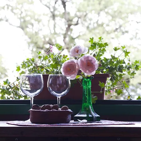 Farm stay All'antico Silbule