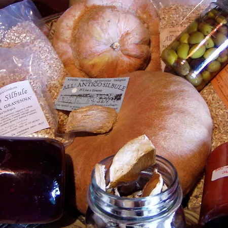Bauernhof All'antico Silbule *